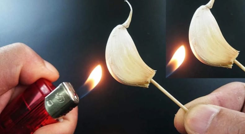 Скилитка чесън